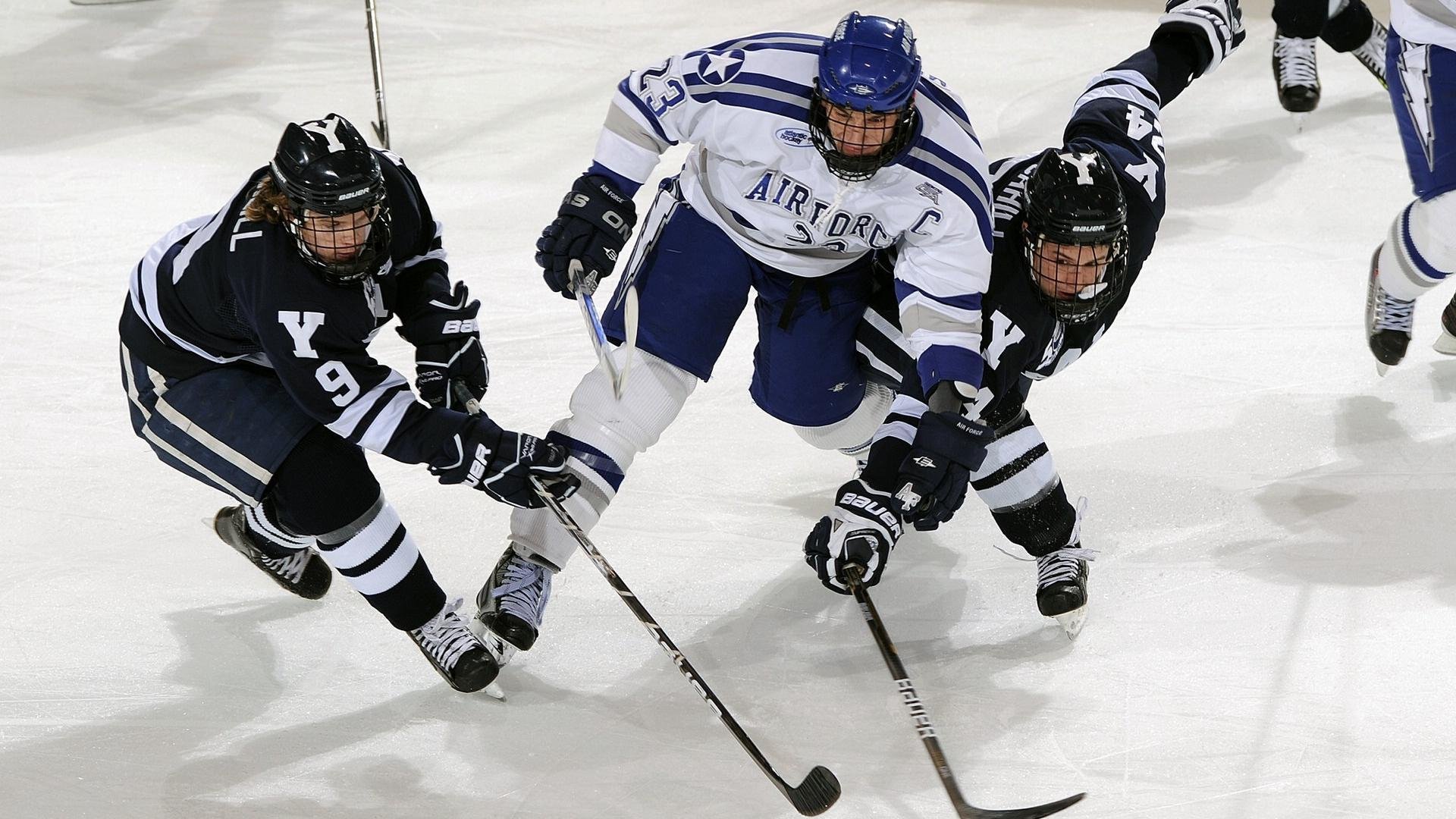 球队近期表现趋势报告，球队发展